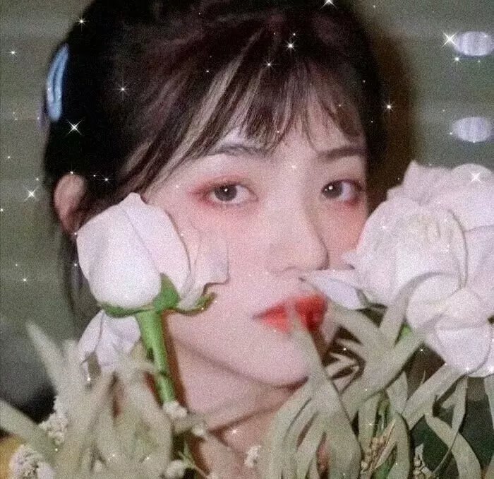 艾美的世界 在线观看